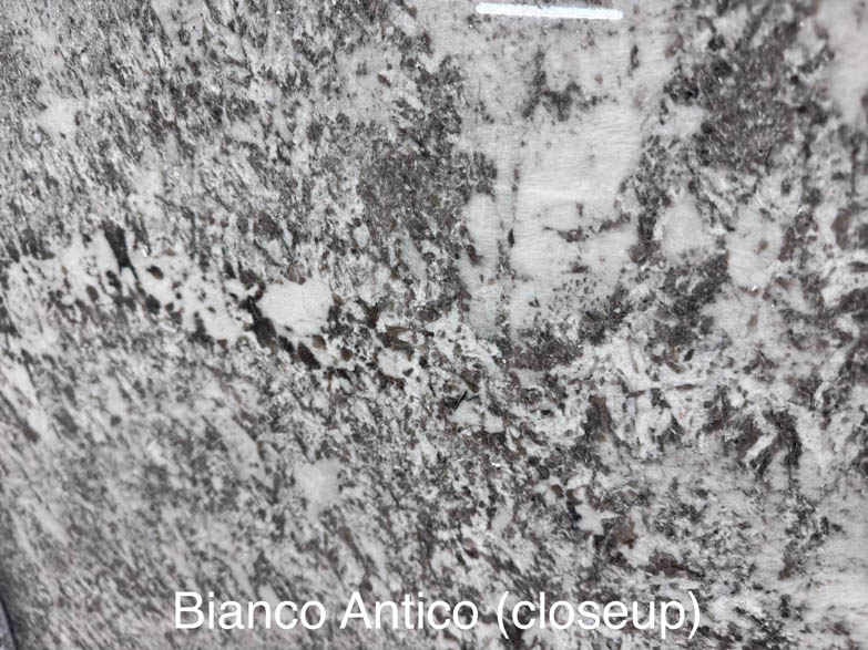 Closeup of Bianco Antico granite, featuring a textured pattern with a mix of white, grey, and black mineral speckles; text at the bottom reads Bianco Antico (closeup).